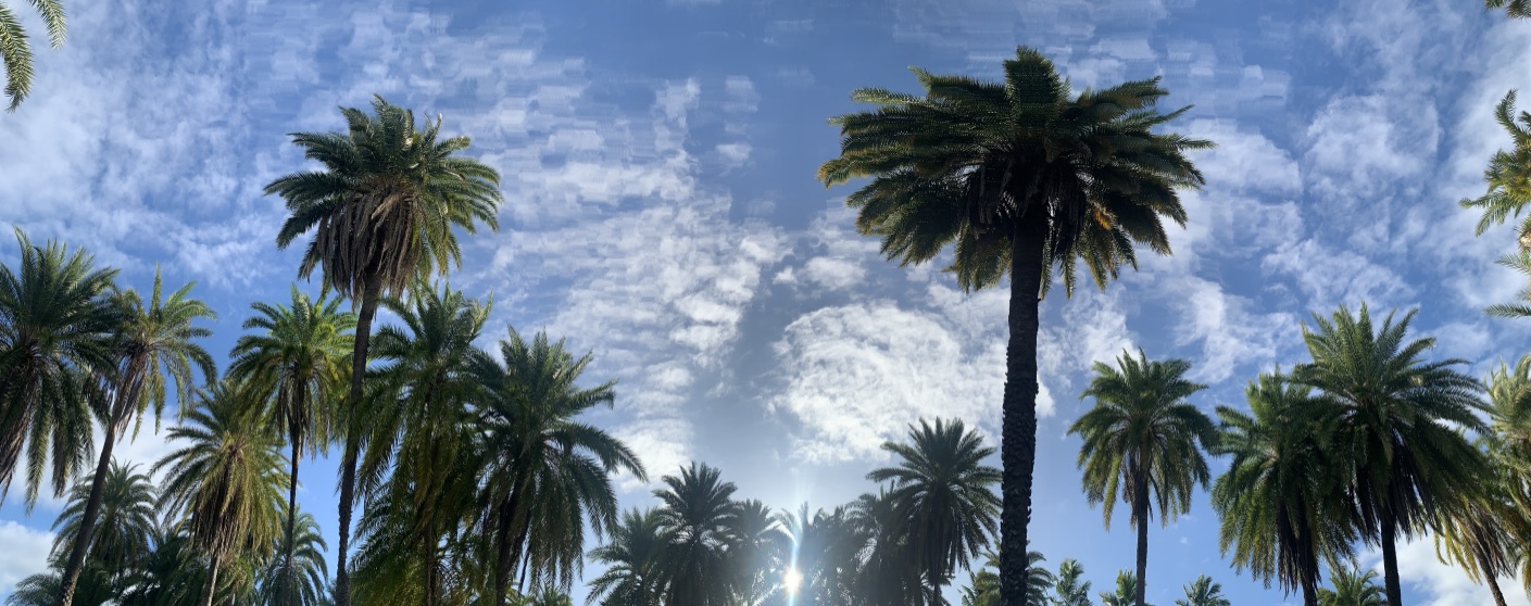 C57BD0F7 1863 48A1 8C9B 6EF281F9EAB6_1_105_c.jpeg